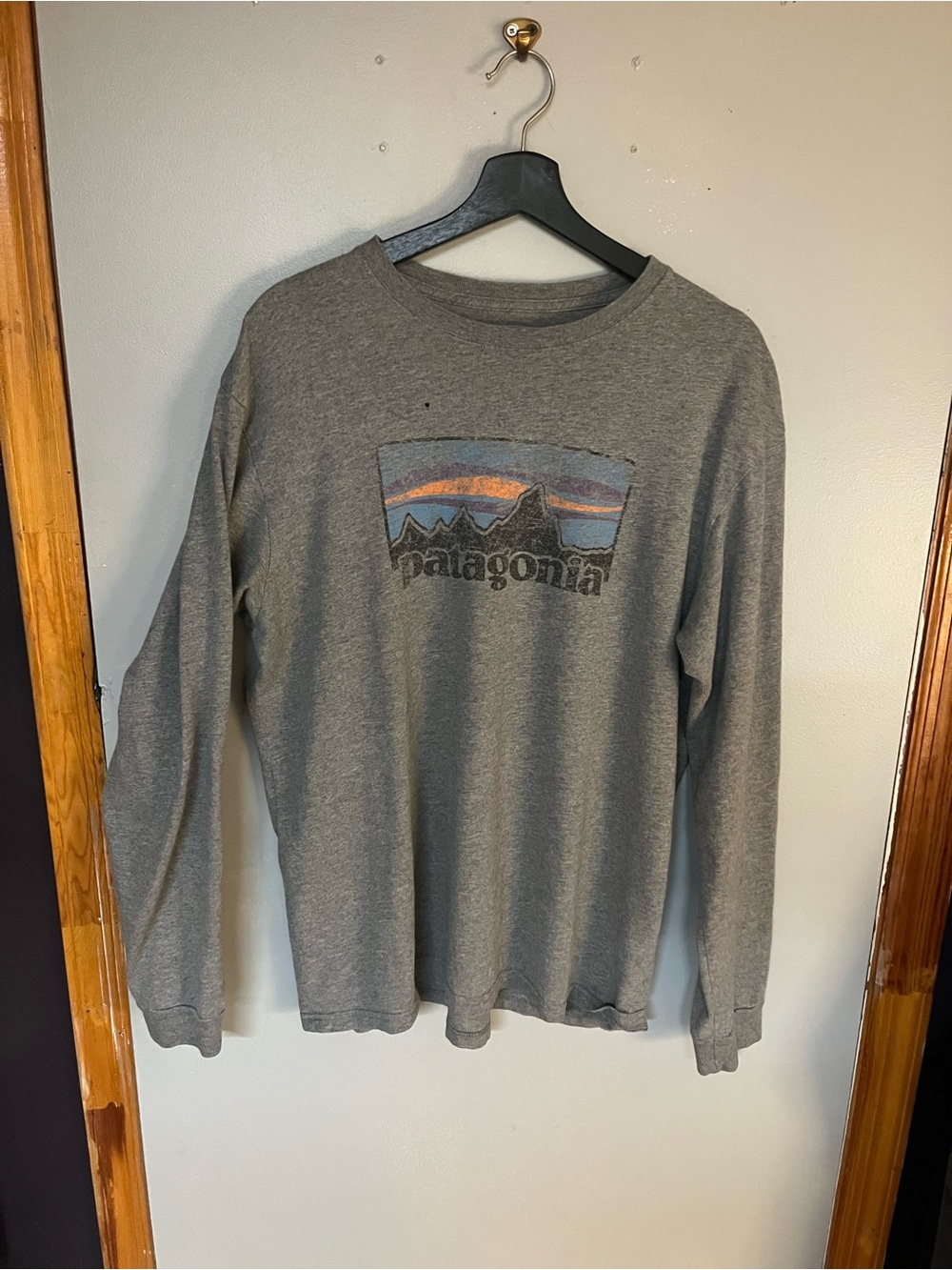 Patagonia Gray Long-Sleeve Tee with Multicolor Mountain Logo